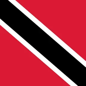 Trini Mix