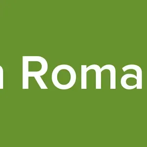 Vision Romanticos