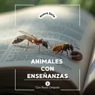 EP#3 Abejas - Rocio Delgado