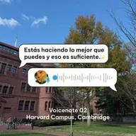 145. Si sientes que no eres suficiente, escucha esto | Voicenote 02