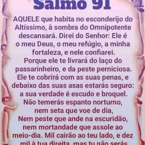 Vida Nova