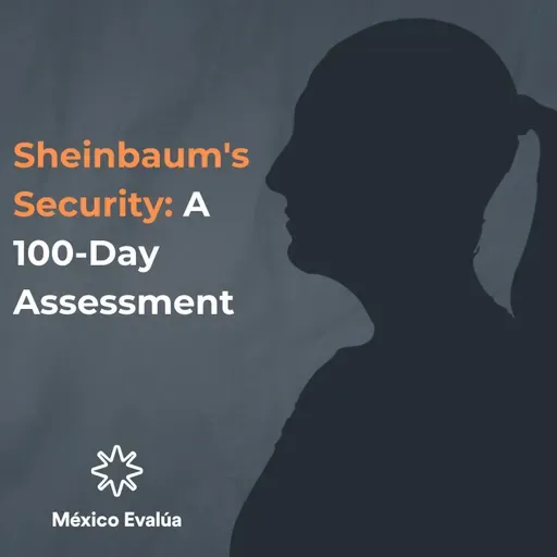 Sheinbaum's Security_ A 100-Day Assessment