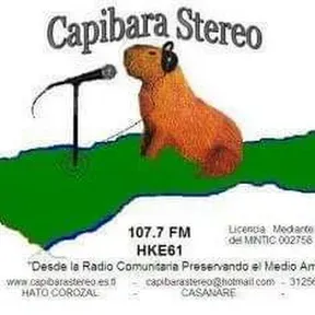 CAPIBARA ESTEREO