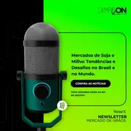 T4 EP 50 - Mercados de Soja e Milho: Tendências e Desafios no Brasil e no Mundo