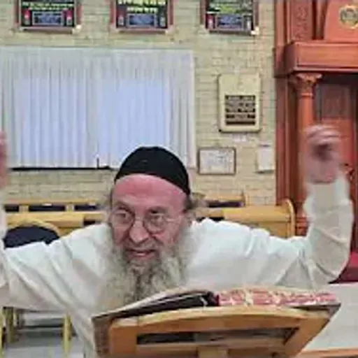 הרב מאיר כהן | רבותינו הקדושים ז״ל מחיים ומעודדים בגודל אהבתו וחיבתו של כל יהודי