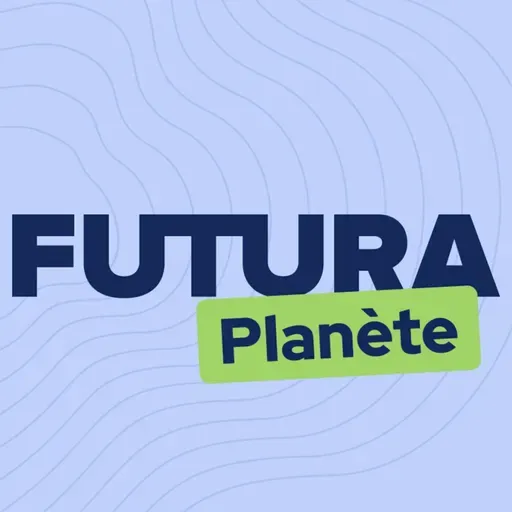 La Méditerranée perd ses virus… et ce n’est pas une bonne nouvelle