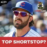 Is Chicago Cubs Shortstop Dansby Swanson the NL Central’s Top SS? | CHGO Cubs Podcast