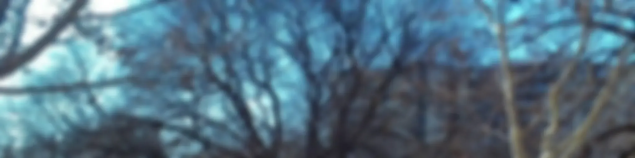 On Air Ediciones ( oAe )