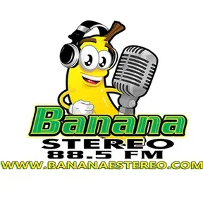 Banana Stereo en vivo