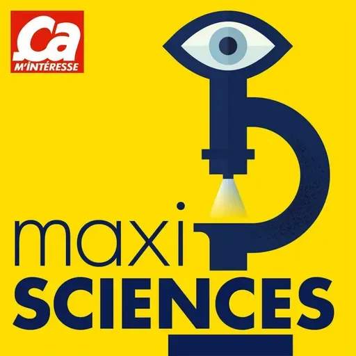 Les piranhas peuvent-ils dévorer un homme ?