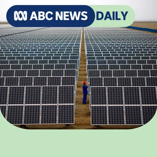 2025 Picks: How China became a green energy superpower