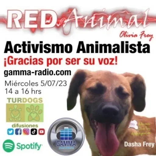 RED ANIMAL CON OLIVIA FREY/ACTIVISMO ANIMALISTA