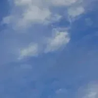 João capítulo 15