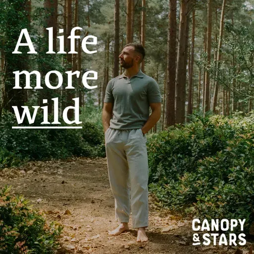 TJ Power on rebalancing your brain and going with your gut