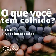 O que você tem colhido? - Pr. Izaias Mendes - 05-10-2025