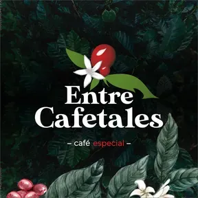 CAFÉ ENTRE CAFETALES