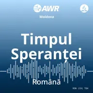 Lecții de la câini