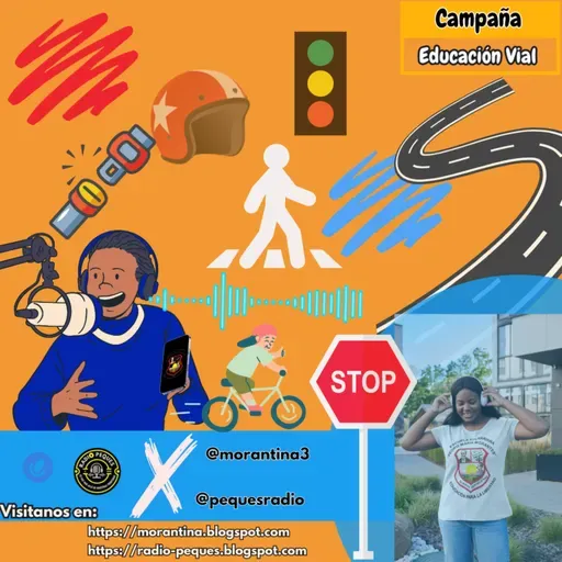 Educación Vial #9