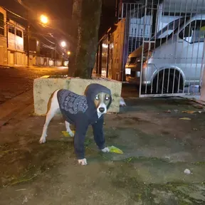 Funkzao