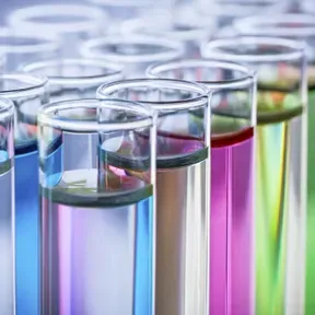 FP Divulga Ciencia