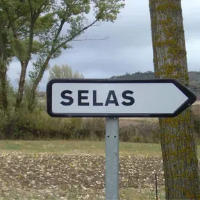 Fiesta Minerva Selas 2020