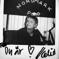 Det är vajsing därute  - Celie Sparre