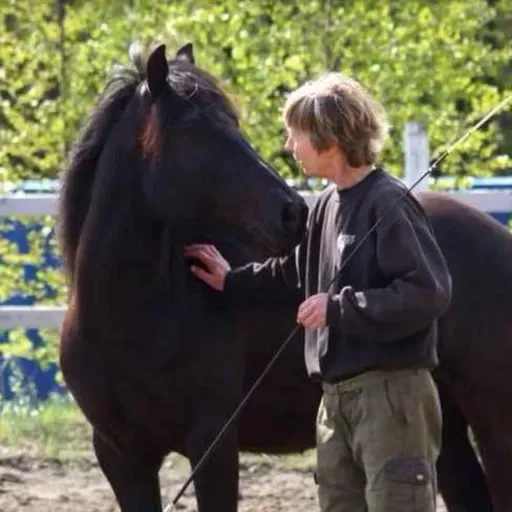 275 - Hestenes klan Norge Rundt - Buskerud