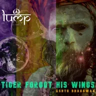 Tiger Forgot His Wings - Mere Priya [Lump Records]