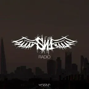 SN1 Radio