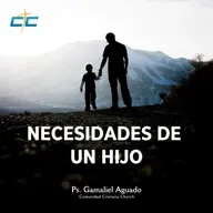 Necesidades De Un Hijo