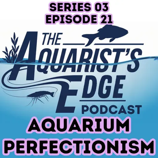Aquarium Perfectionism: How to Stop Comparing Your Fish Tank and Enjoy the Hobby Again