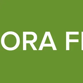 DORA FM