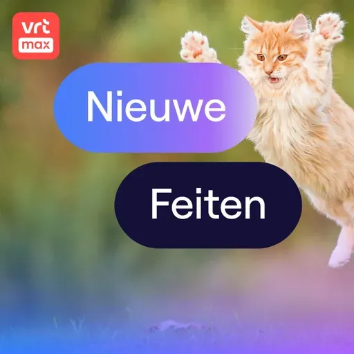 Mysterie opgelost: daarom vallen katten altijd op hun poten