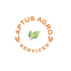 Wheat fertilizer recommendation_Fertilization after wheat sowing_گندم بوائی کے بعد کھادوں کا استعمال