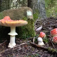 AI and Relationships, Part 1: Into the Woods