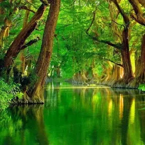 RÁDIO PRESBITERIANA do PARQUE ANCHIETA