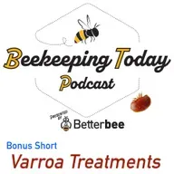 Varroa Management Guide Update: What Beekeepers Need to Know