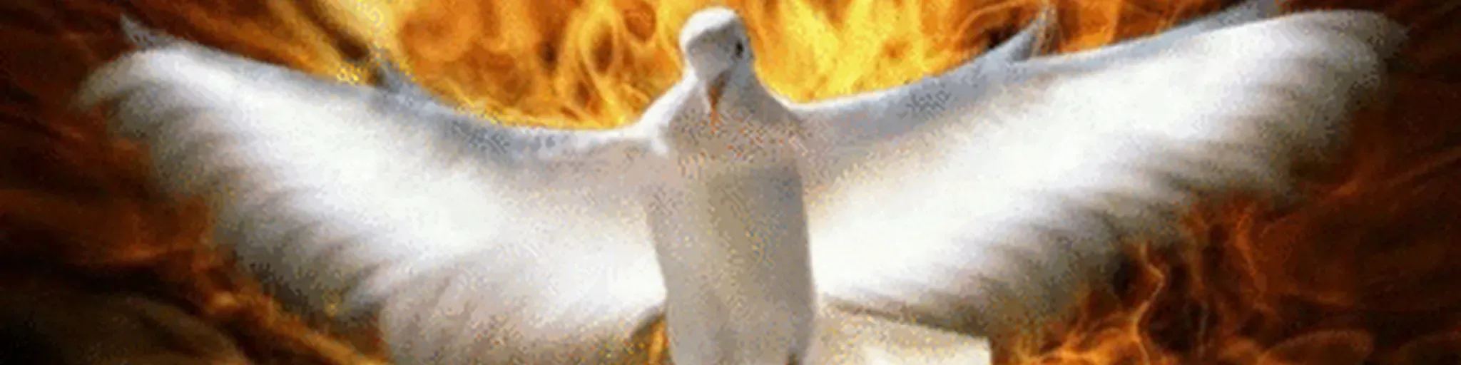 MEB morro das ovelhas