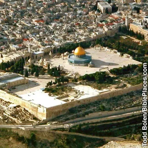 Are Jehovah's Witnesses Zionists?