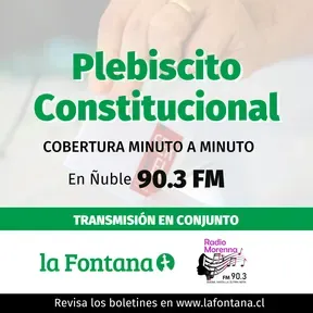 Plebiscito Constitucional