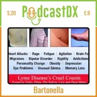 Bartonella