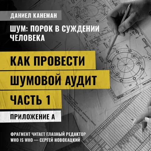 Как провести шумовой аудит. Часть 1. Даниэль Канеман [Шум: изъян в человеческом суждении]