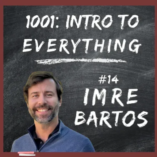 Black holes, gravitational waves, FNN | 1001: Intro to Everything podcast #14 with Imre Bartos