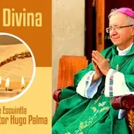 Lectio Divina 13 junio 2022