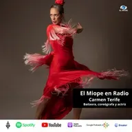 Carmen Terife, la vida a través de Sudaca