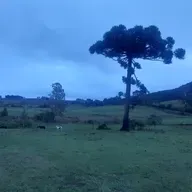 O conceito da vida 