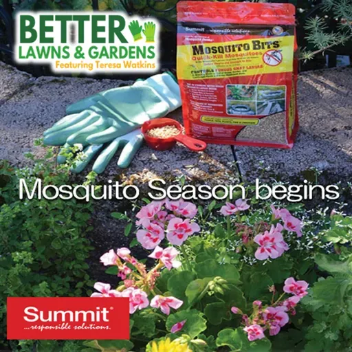 S2 Ep433: Better Lawns and Gardens - Hour 2 Mosquito Season Begins March 6, 2026