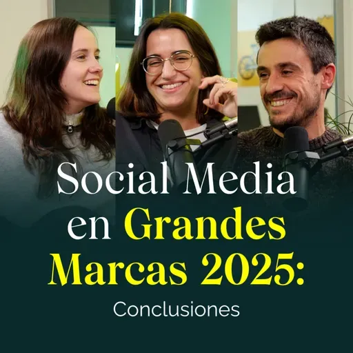 Social Media en Grandes Marcas 2025: Conclusiones