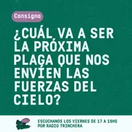 Las plagas y las fuerzas del cielo - Consigna del día