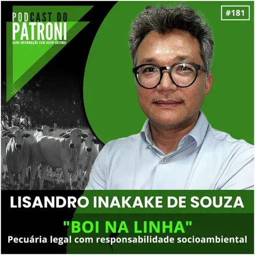 #181 - Boi na linha